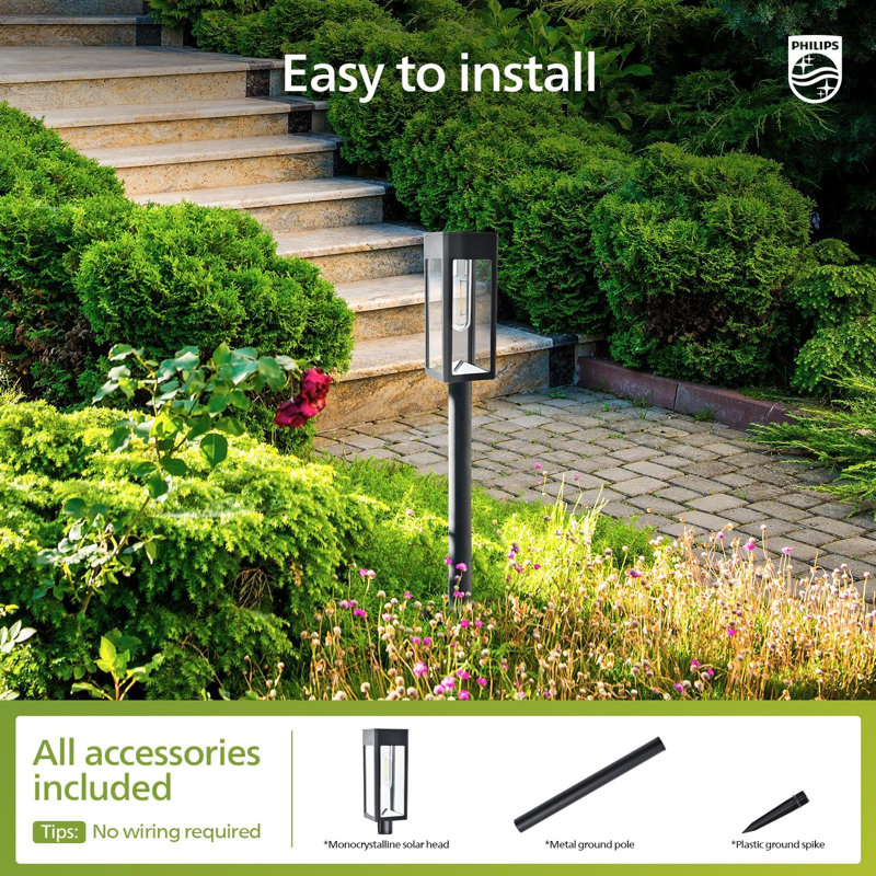 Éclairage solaire de sentier extérieur - 6 heures de charge / 18 heures d'autonomie, marche / arrêt automatique du crépuscule à l'aube pour le jardin, la cour, la pelouse, décor de sentier (ensemble de 8)