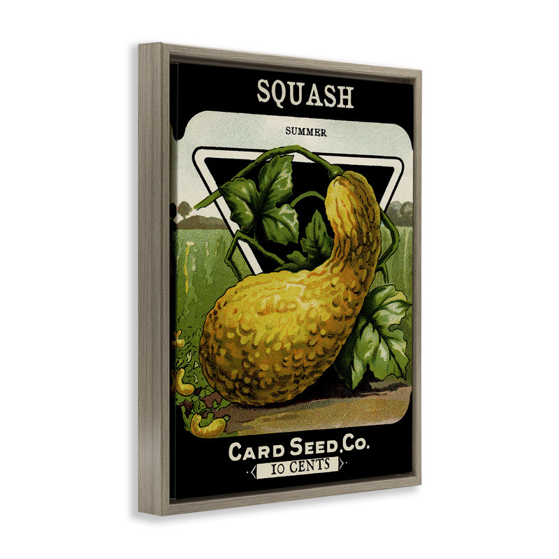 Cadre flottant Vintage Garden Squash, design par Lil 'Rue, H 21 po x l 17 po, Cadre flottant orme Montalcino