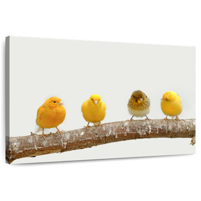 Brampt Four Canary Birds
