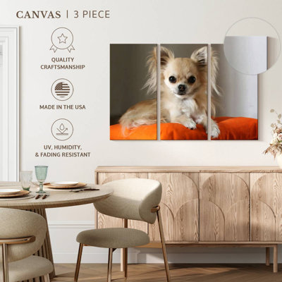 Chihuahua On Pillow