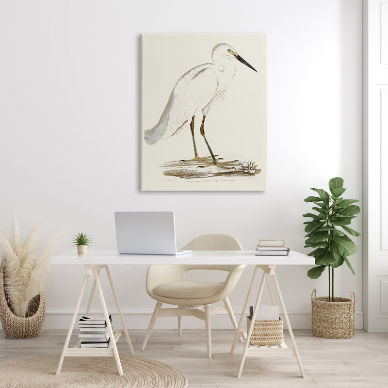 Illustration rétro d'une aigrette dans un marais, H 48 po x l 36 po, Toile tendue