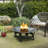 Wood Decorative Logs