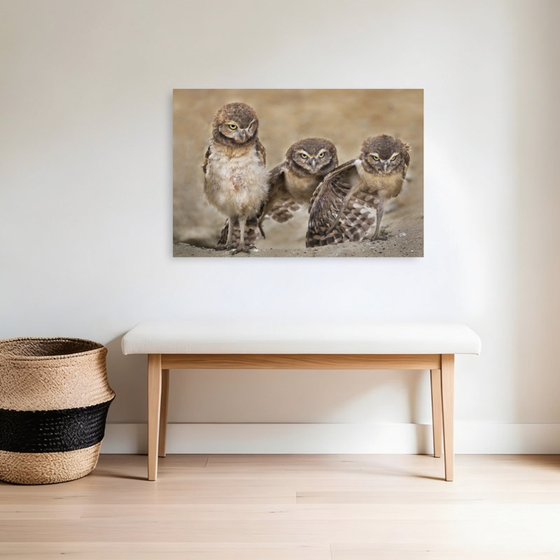 Three Glaring Owls Abstract Contemporary Bird Owl Forest Landscape Wall Art Print 1 Piece Wrapped Canvas Wall Art