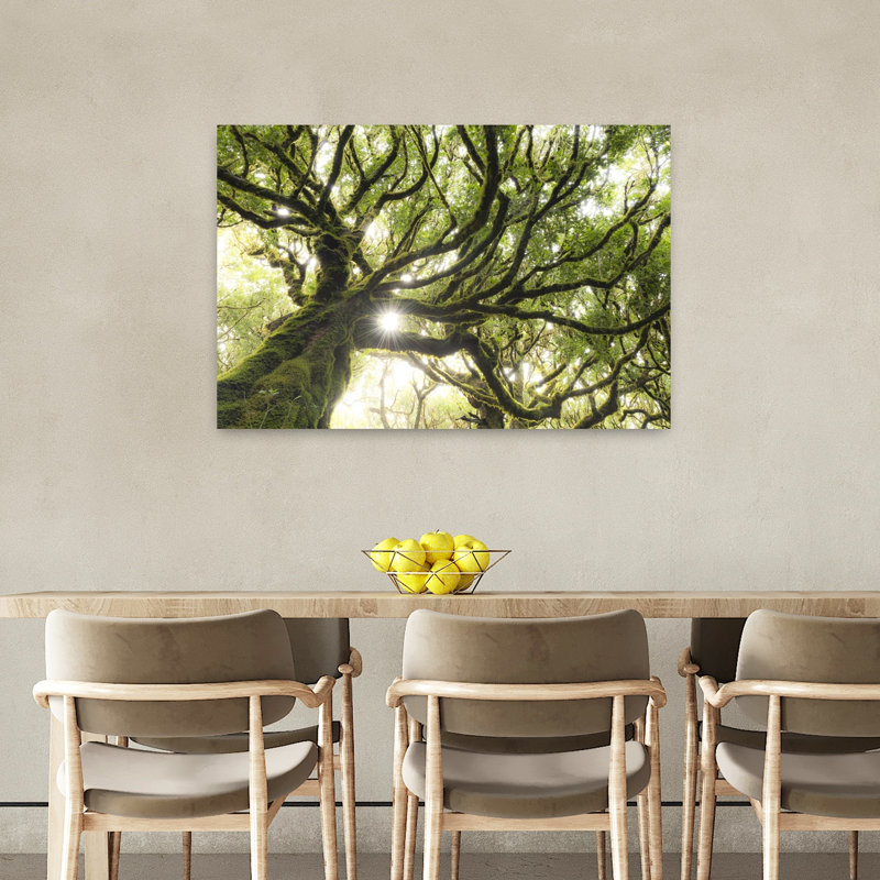 «Green Star», impression abstraite de paysage forestier contemporain, 24" H x 36" W