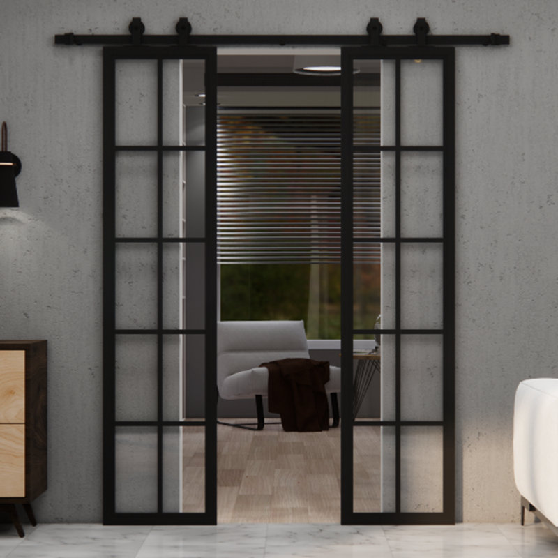 Metal Frame With Glass Barn Door