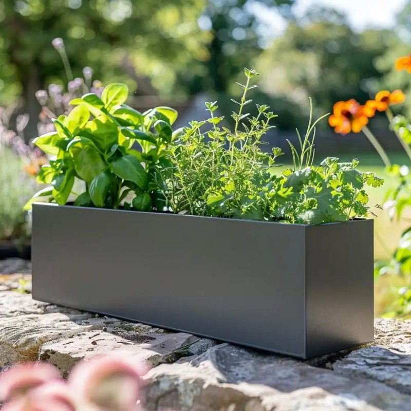 Reny Galvanised Zinc Trough Planter, 24cm H x 70cm W x 24cm D, Grey