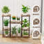 Support pour plante Kriebel-1705680215
