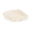 Plateau en coquillage pour coquillages Vail-1045300046
