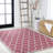 Trebol Moroccan Trellis Textured Weave Fuchsia/Light Gray Indoor/Outdoor Rug-2027056745