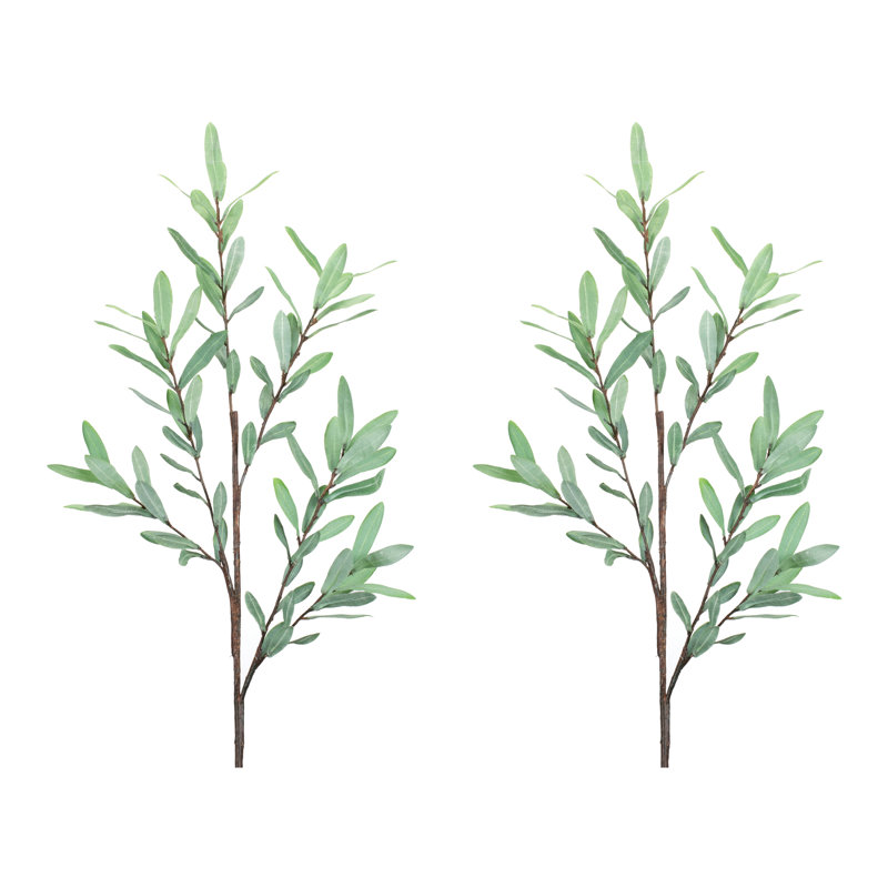 Branche de brindille olive