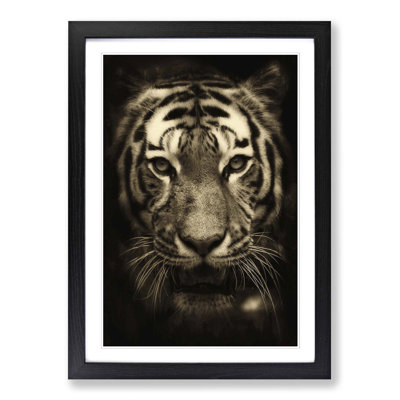Tiger 3 Framed Photographic - Framed Print