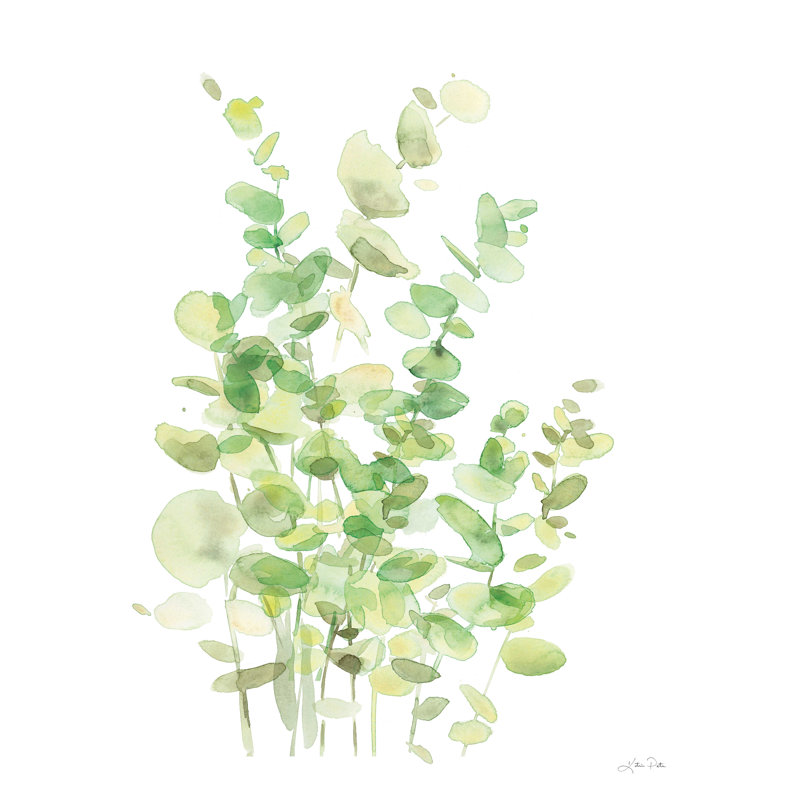 Eucalyptus III - Wrapped Canvas Print, 16" H x 12" W
