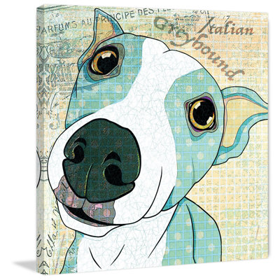 " Italian Greyhound " by Stephanie Gerace
