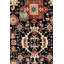 Oriental Area Rug