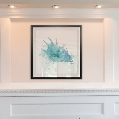 " Coastal Wash Shell "