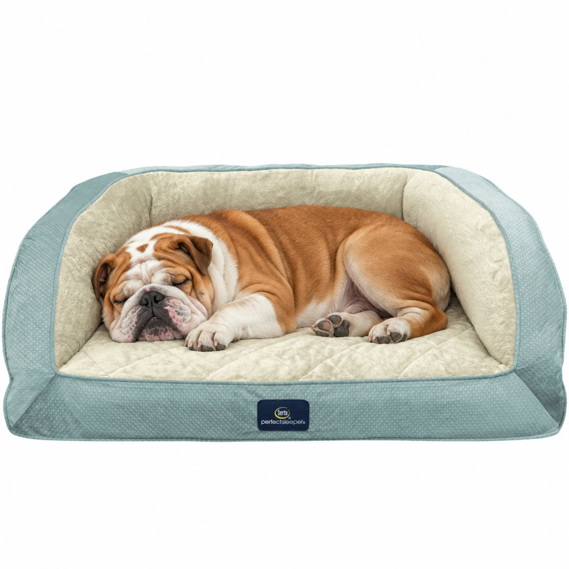 Lit orthopédique matelassé pour chat et chien Serta, bleu, moyen, Moyen (H 8 po x l 28 po x P 24 po), Bleu
