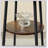 Hagensee Upholstered Counter Stool