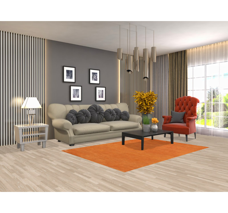 Modern Gabbeh Oriental Rug 5x7
