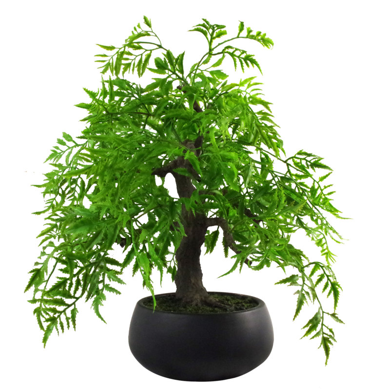 Anivea 50cm Faux Bonsai Tree in Pot