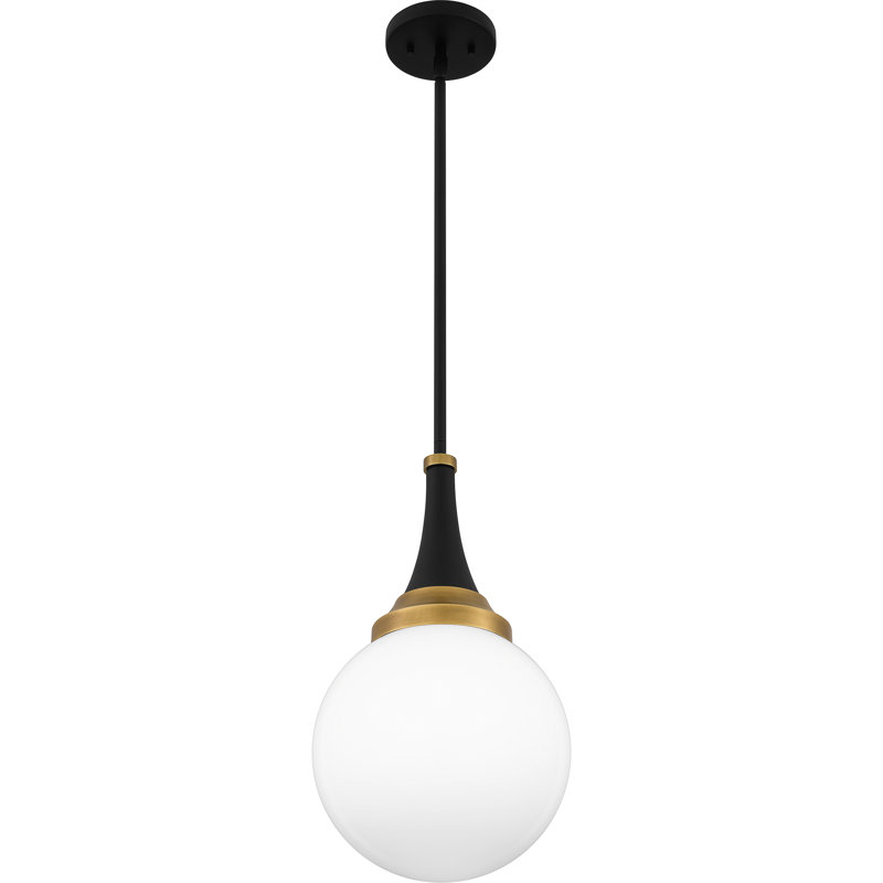 Luminaire suspendu noir mat 1 lumière Carlysle