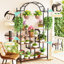 Mikkelsen Plant Stand