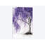 «Jacaranda Picnic», impression sur toile-32114081-72033027-72033034
