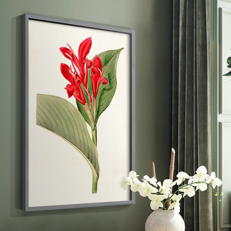 «Flora of the Tropics IV», reproduction encadrée - bois massif, Gris, H 10 po x l 8 po