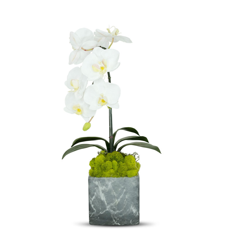 Artificial Orchid in Planter
