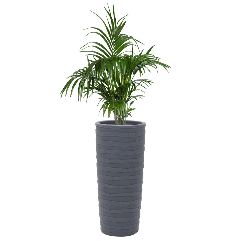 Pot Planter, Graphite