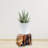 Natural Tree Trunk Stump Stool With Live Edge Solid Wood Plant Stand, Stool, Garden Bench, Side Table, End Table (d11in X H6in)
