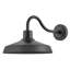 Hinkley Forge Medium Wall Mount Lantern-611573517