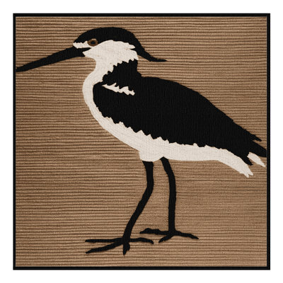 Washable Black Skimmer Birds Area Rug
