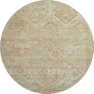 Premium Machine Washable Varasteh AMF1664 Global Rug