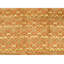 Hand Knotted Area Rug in Terracota