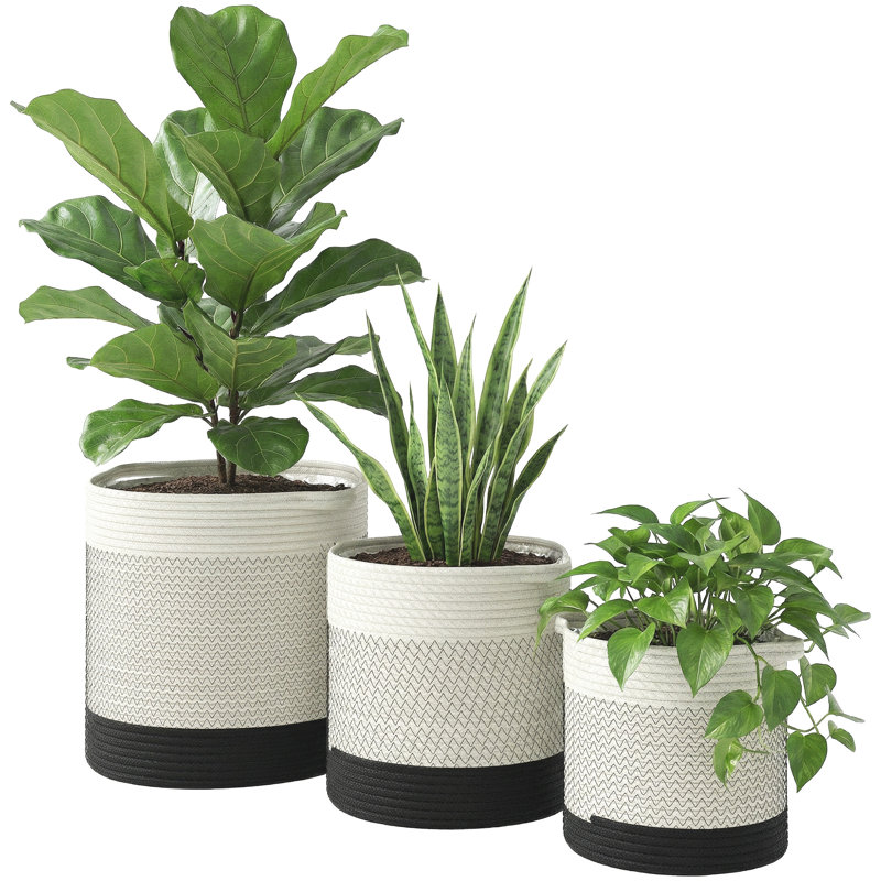 Pot Planter