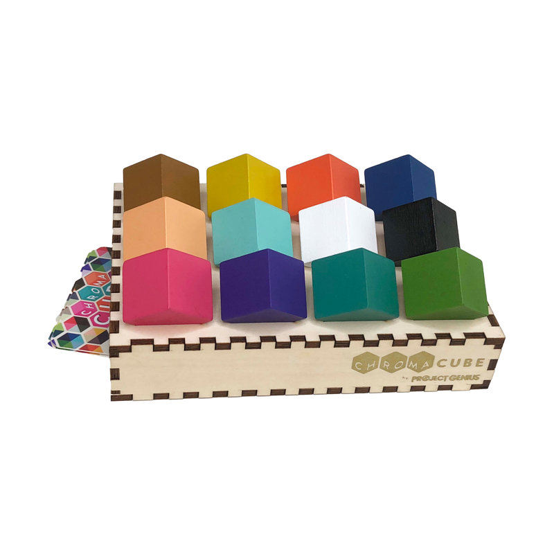 Project Genius 1 Player Paper Brainteaser