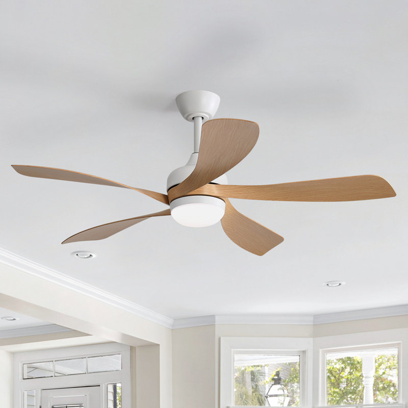 Ventilateur de plafond standard à 5 pales avec télécommande et lumière DEL Damecia, Bois naturel / blanc, 52"