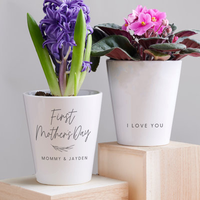 Ceramic Pot Planter
