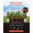 Galvanized Raised Garden Beds, 6 x 3 x 1 ft, Rectangular Metal Planter Boxes Kit Outdoor, Bottomless Elevated Planting Box with Gloves, Alu-Zinc, for Growing Flowers Vegetables, Silver-1776257071-1776257066