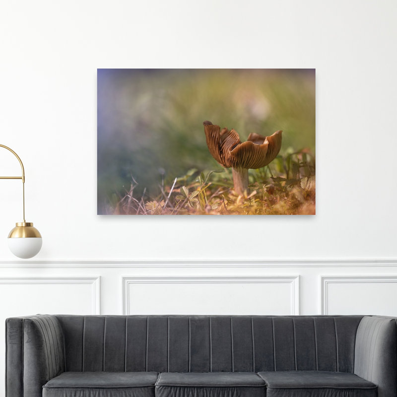 Tranquil Forest Mushroom Delicate Organic Peaceful Autumn Forest Wall Art Print by Fabrizio Daminelli - Print