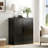36" Accent Storage Cabinet with Adjustable Shelf