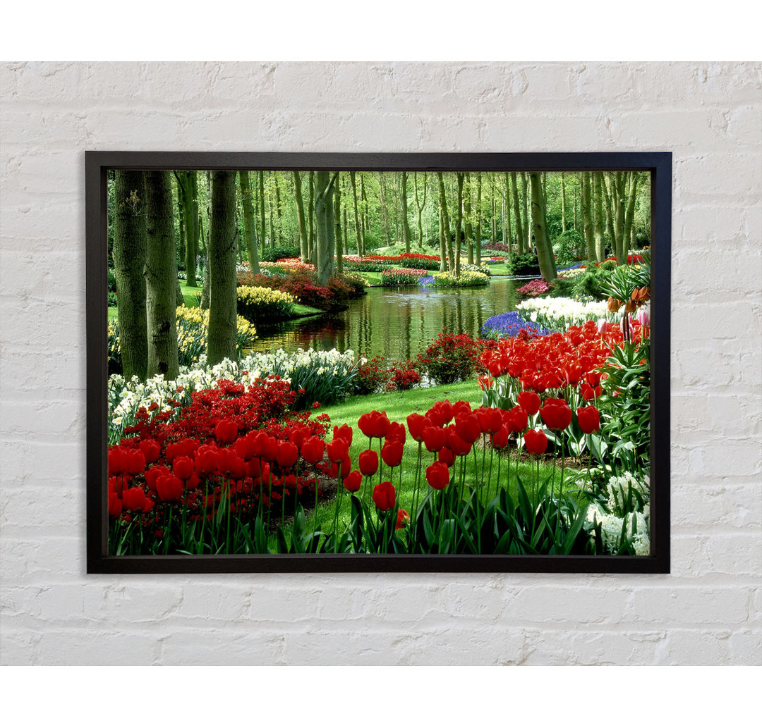 Tulip River - Einzelner Bilderrahmen Kunstdrucke auf Leinwand