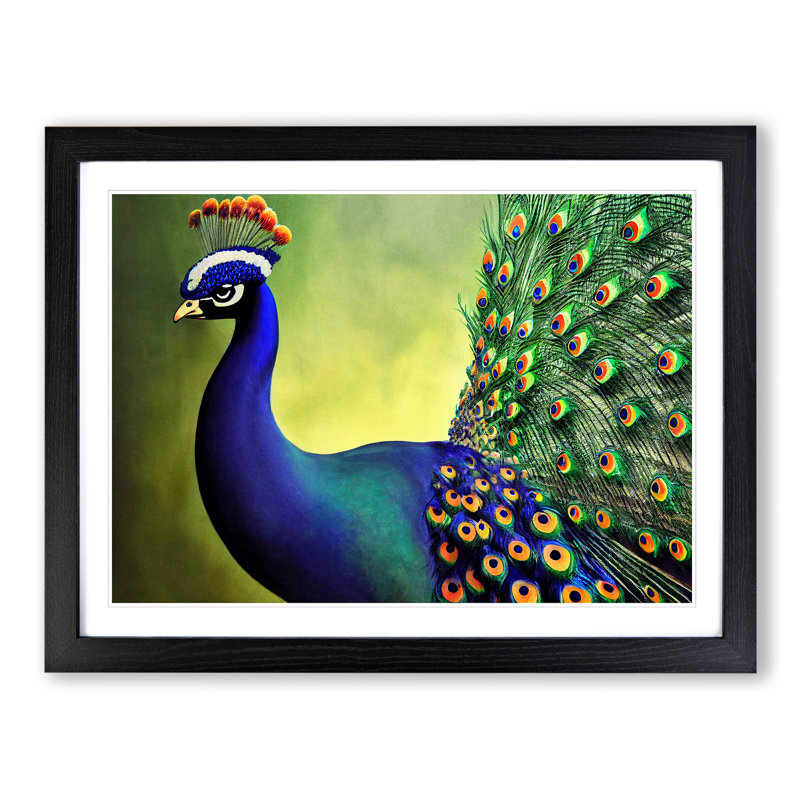 Fine Peacock - Single Picture Frame Print, Black Framed, 46cm H x 64cm W x 2cm D