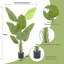 Bird Of Paradise Artificial Plants With Planter, Realistic Banana Shaped Leaves For Home Office Living Room Decoration