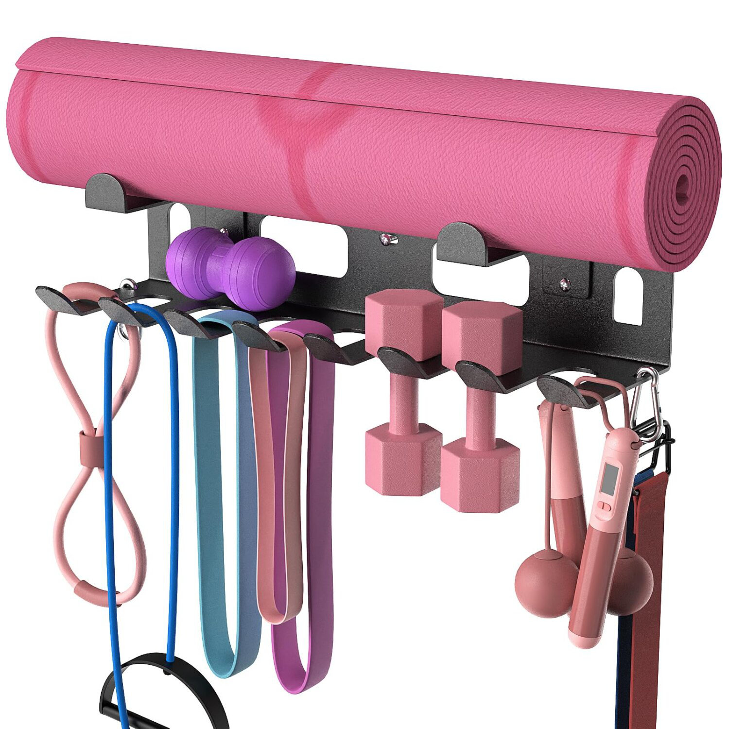 Latitude Run® Gym Equipment Storage Rack | Wayfair