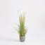 Faux Foliage Grass in Pot-119018616