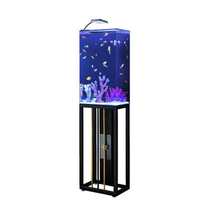 Fish Tank SANOSY Gallon Aquariu Starter Kit Sall