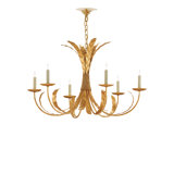 Augustus 6 - Light Chandelier