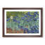 Irises by Vincent Van Gogh - Framed Print-62799959-62799960