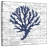Brampt Cape Coral White II